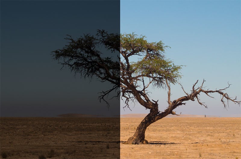 Before and after of a photo by photographer: Julia Koch. RAW image shot with f14, 1/8000sec, exposure adjusted post-shot in Snapseed.