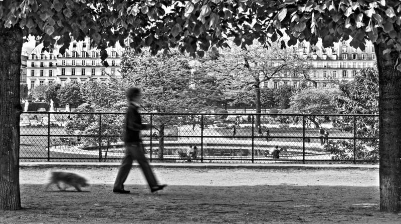 passeando com cachorro-em-tuileries-jardins-paris