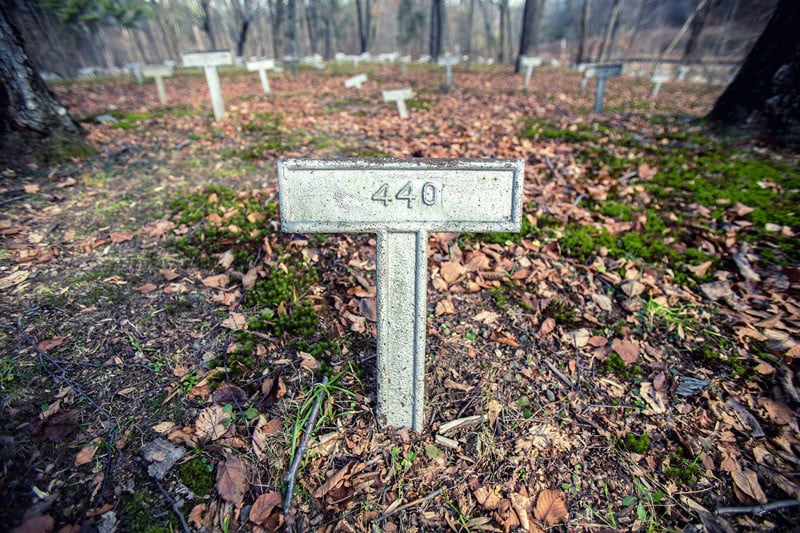 Typical grave marker – for privacy concerns and stigma surrounding mental health, all patients were buried in anonymity. 