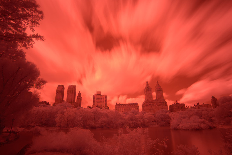 Central Park in Infrared (SOOC)