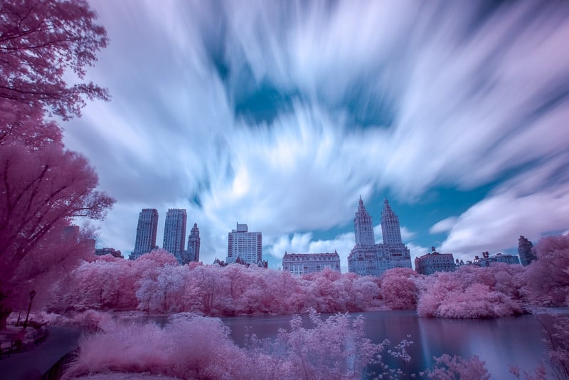  Central Park in Infrared (Channel Swapped, Final)