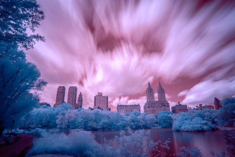 Central Park in Infrared 3 (Channel Swapped, LR)