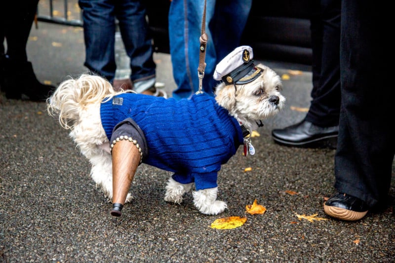 Hugo, 2½, as a tripod sea captain. His missing leg made this even more depressing.