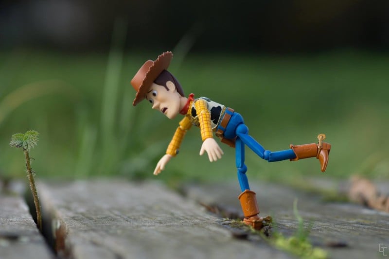 woody1