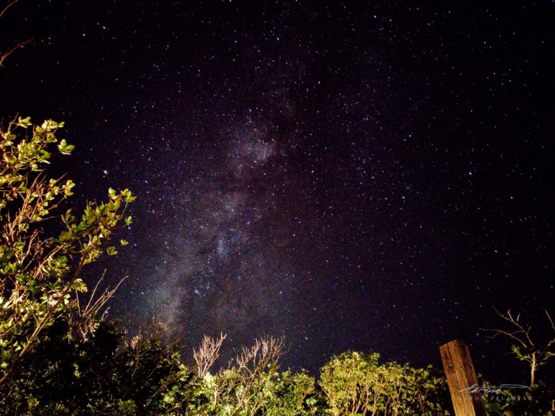 My first legit Milky Way photo shot on a mobile phone! Shot on the Asus Zenfone 3 Deluxe, 32s at f/2.0, ISO 3200