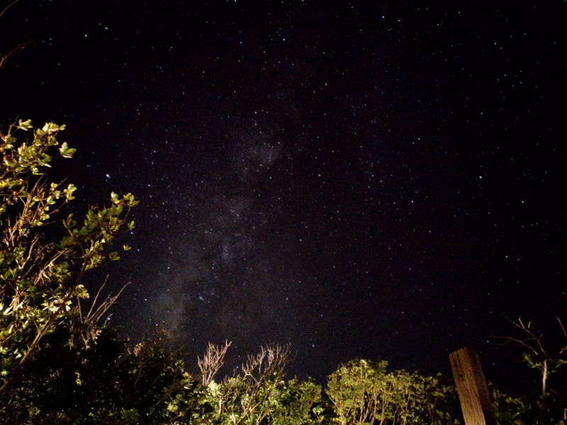 Unedited Milky Way photo from the Asus Zenfone 3 Deluxe