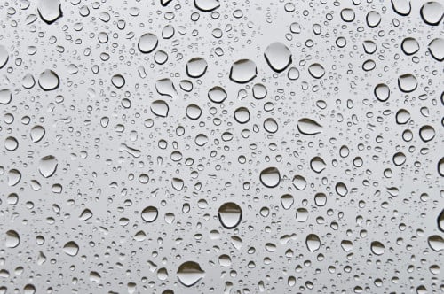 This is the "beading" of droplets I'm referring to. These droplets will catch the light perfectly and create gorgeous bokeh in the foreground of your shot.