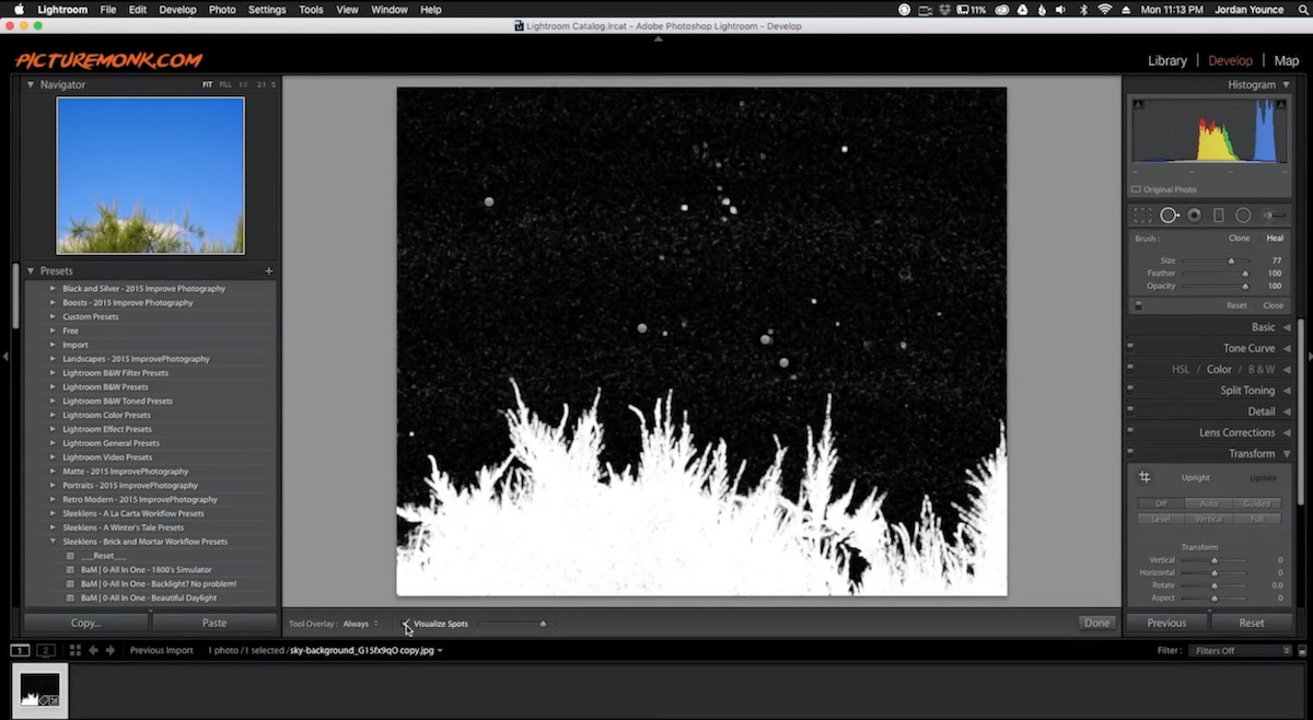 Quick Tip: How to Quickly and Easily Remove Sensor Dust in Lightroom ...