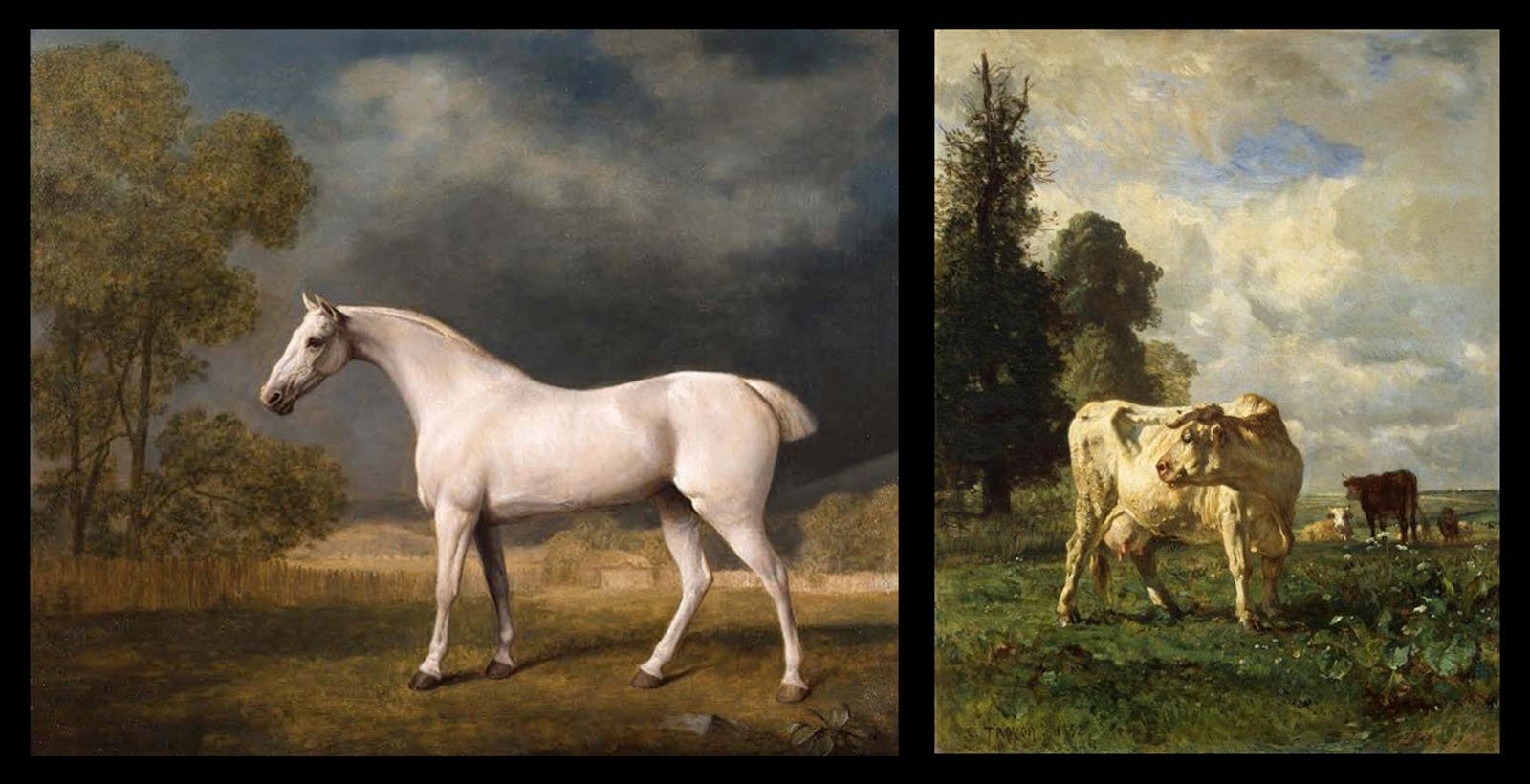 George Stubbs 'White Horse in a Paddock' 1800 (left) Constant Troyon ​ 'Cows in the Field' 1852 (right)
