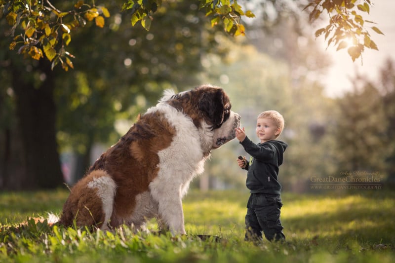 Good big store dogs for kids