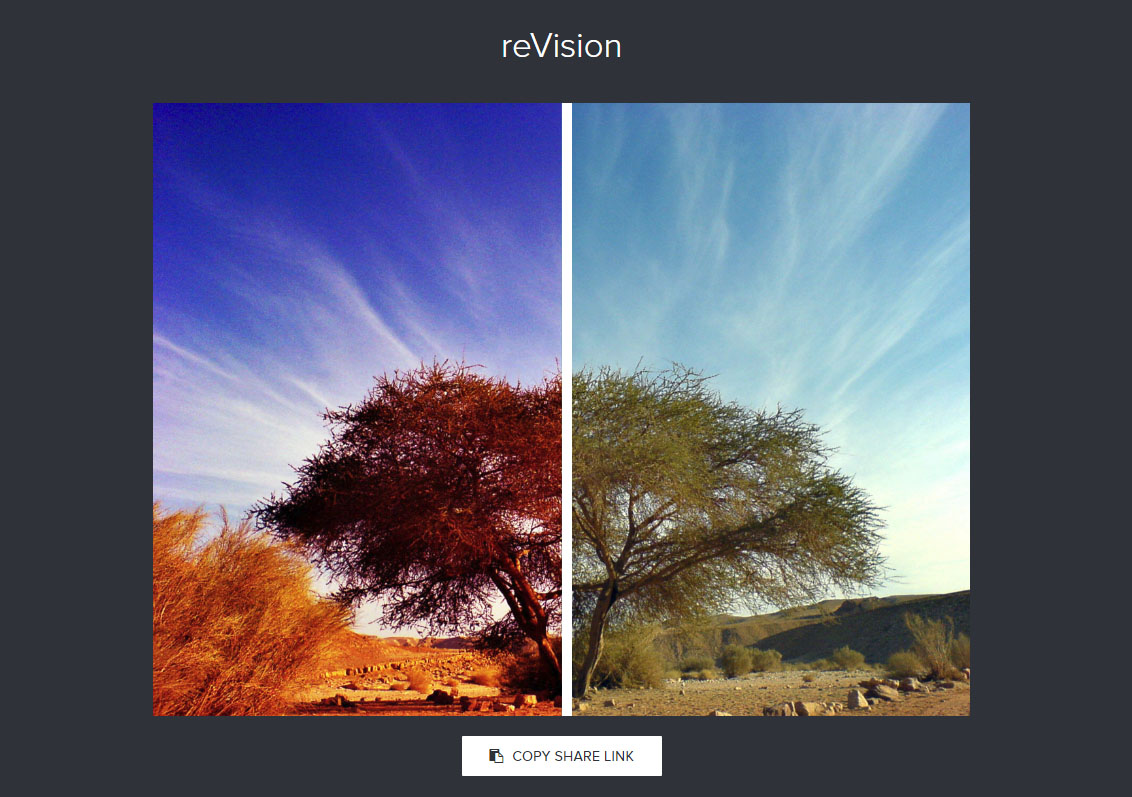 reVision: Share Before and After Views of Your Photo Editing | PetaPixel