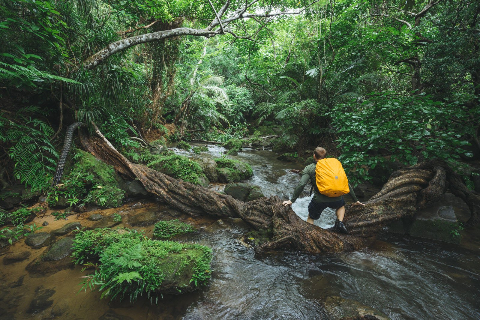 This is why I had purchased the Pelican all-weather case prior to the trip. Jungle stream trekking.