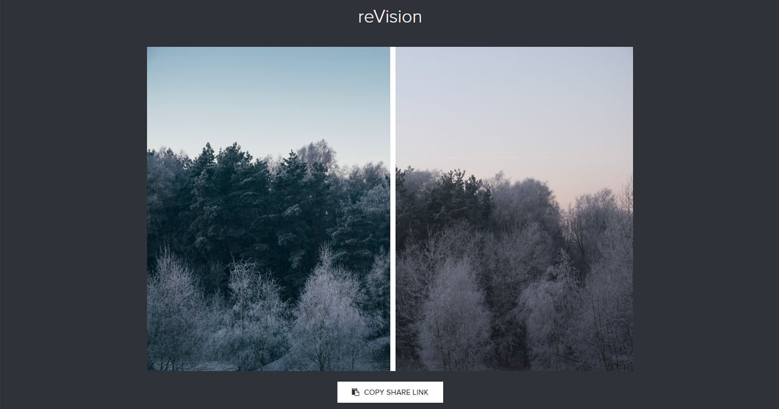 reVision: Share Before and After Views of Your Photo Editing | PetaPixel