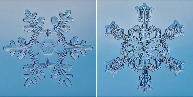 Snow Crystals, Brighton, MI. Photographed through a homemade microscope and lit with fiber optics this image was quite a project.