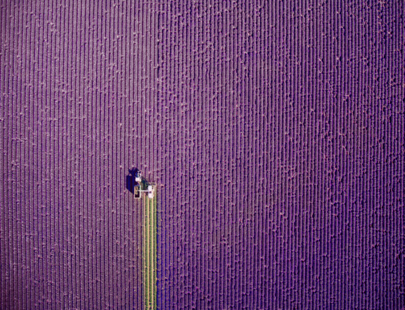 valensole-provence-france-by-jcourtial