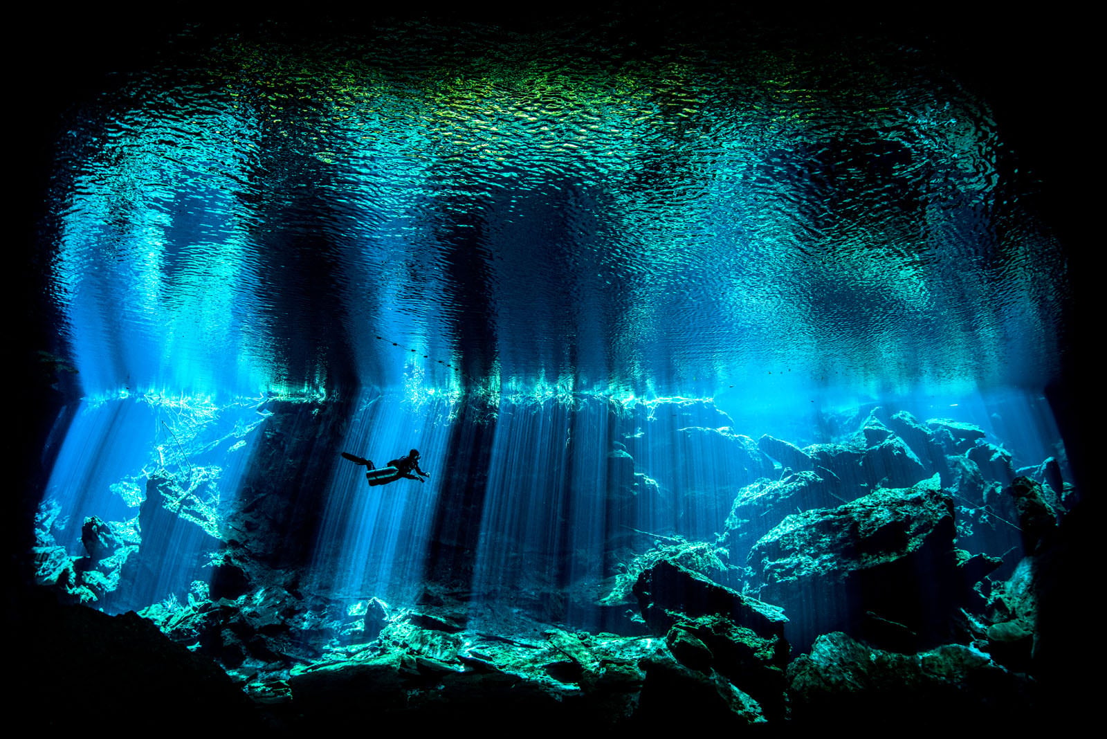 The Winning Photos of Underwater Photographer of the Year 2017 | PetaPixel