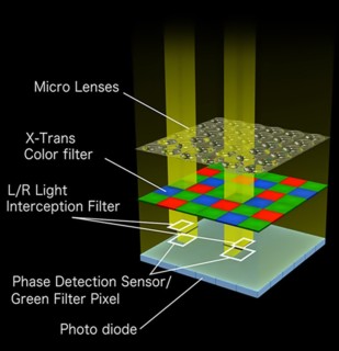 Why and How Fuji Cameras Produce a Strange Purple Flare/Grid Artifact ...