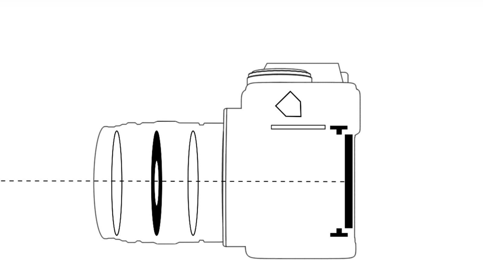 This Simple Animation Shows You How an SLR Works | PetaPixel