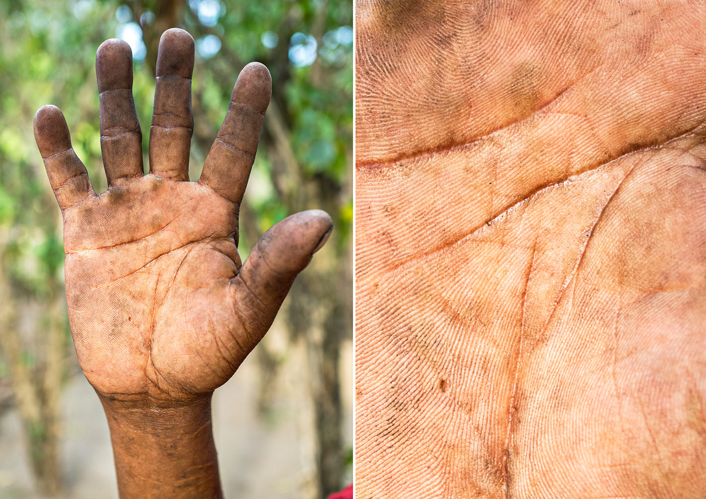 This Photographer Captured People's Lives Through Their Hands | PetaPixel
