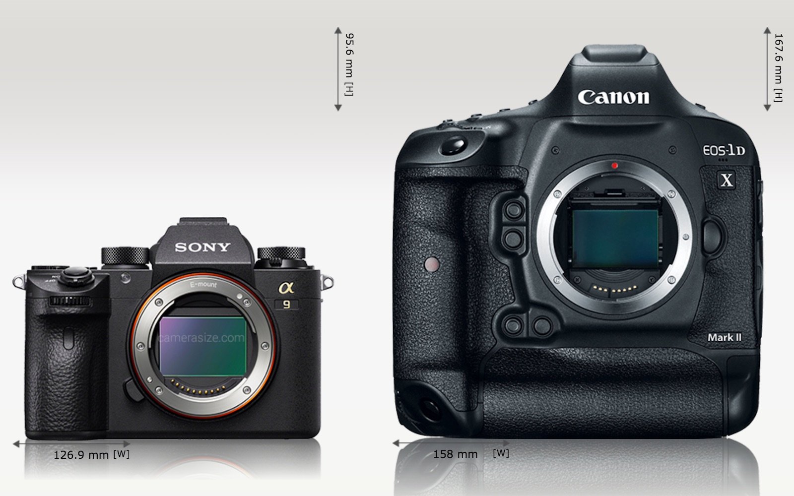 Sony mark ii. Sony a7 Mark 4 фотоаппарат. Canon EOS 1dx vs 5d Mark IV. Sony a7 vs Canon 1d. Sony a7r Mark 2.