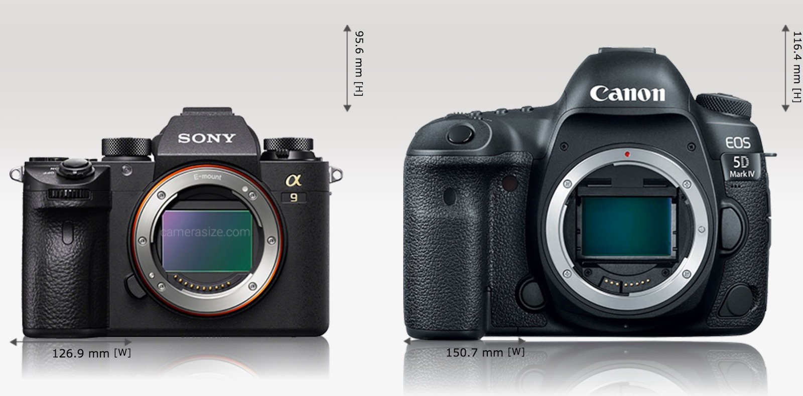 Comparison: Sony a9 vs a7R II, Canon 5D and Mark II | PetaPixel