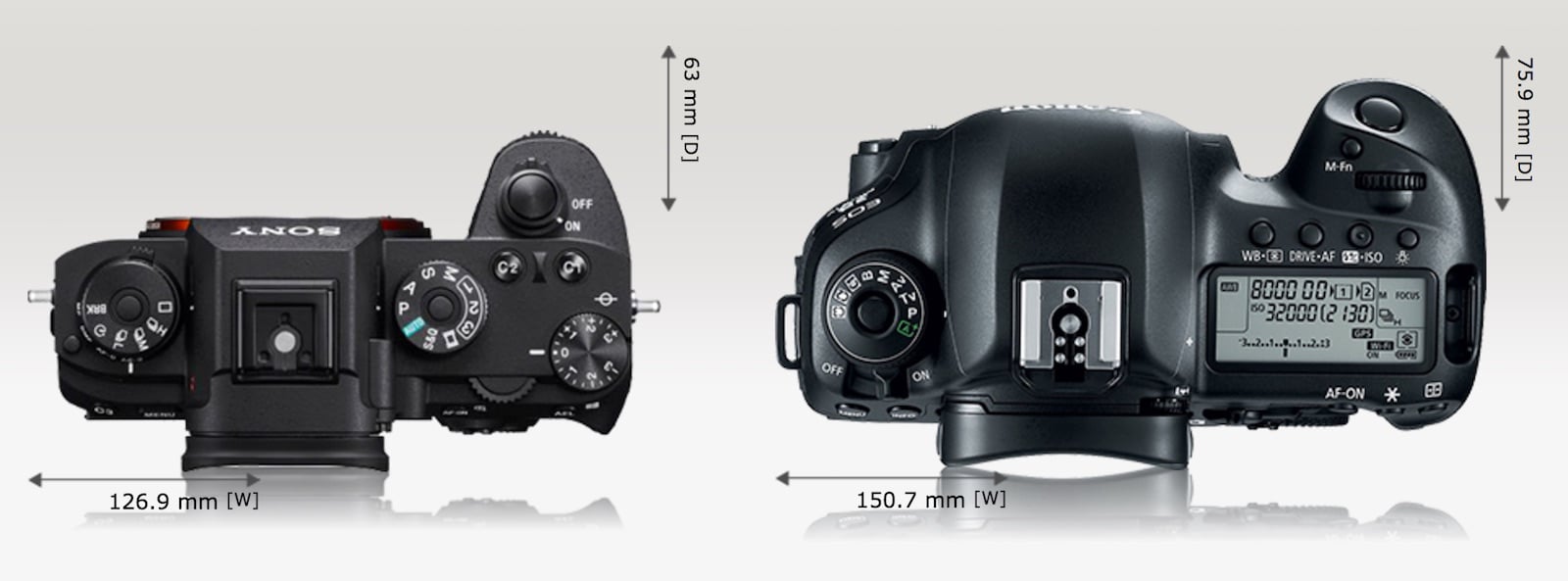 Сравнение canon 5d. Panasonic s5 Mark II. Xt3 vs 5d mark2. Сравнение по размеру без зеркальных камер Canon. Canon r50 и Sony Alfa сравнение размеров.