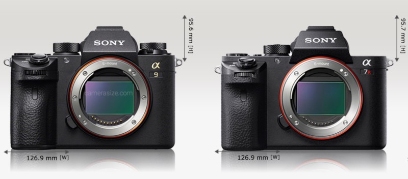 Detailed Comparison Of The Canon 5d Miv And The Canon 1d X II Cameras.