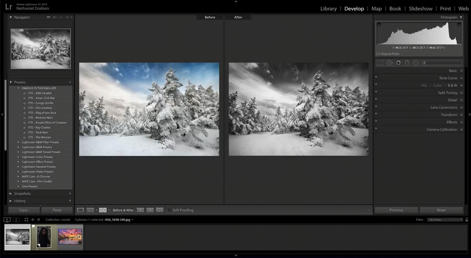 A Beginner’s Guide To Creating Black & White Photos In Lightroom ...