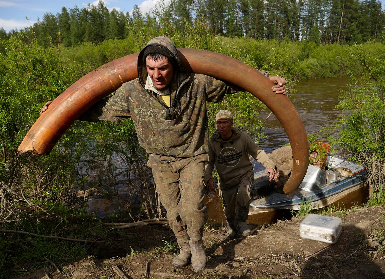 Photographing the Mammoth Ivory Tusk Hunt in Siberia PetaPixel