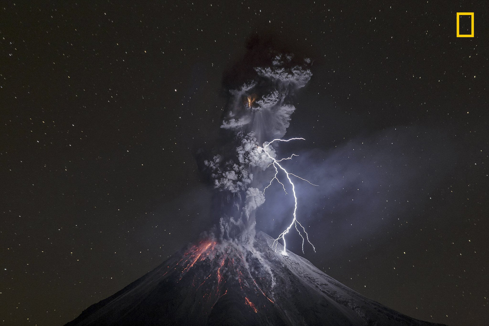 Yourshot_TPOY_GRANDPRIZE-Nature_1st_Velasco.jpg