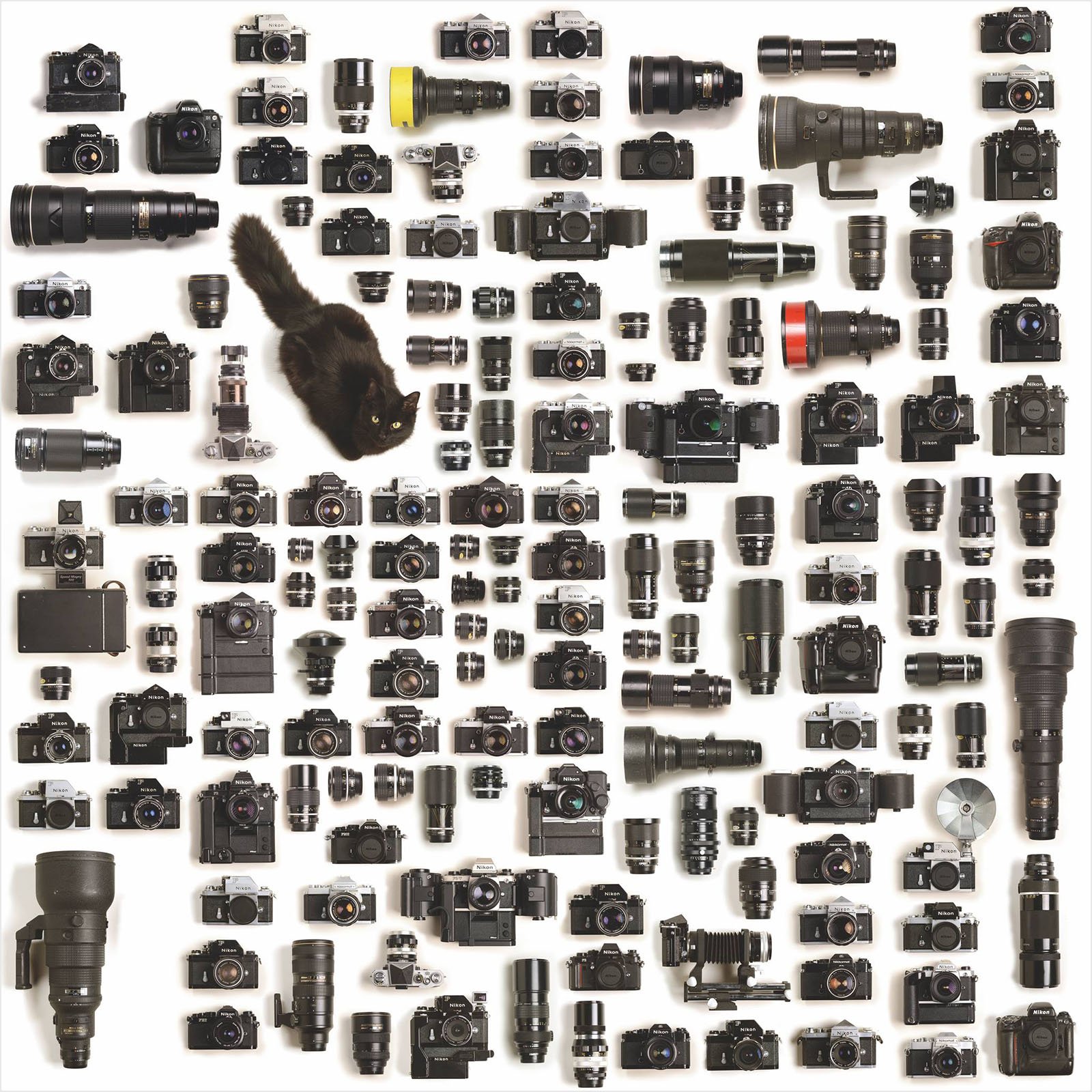 Nikon Gear Arranged Neatly: This is One Photographer's Collection ...