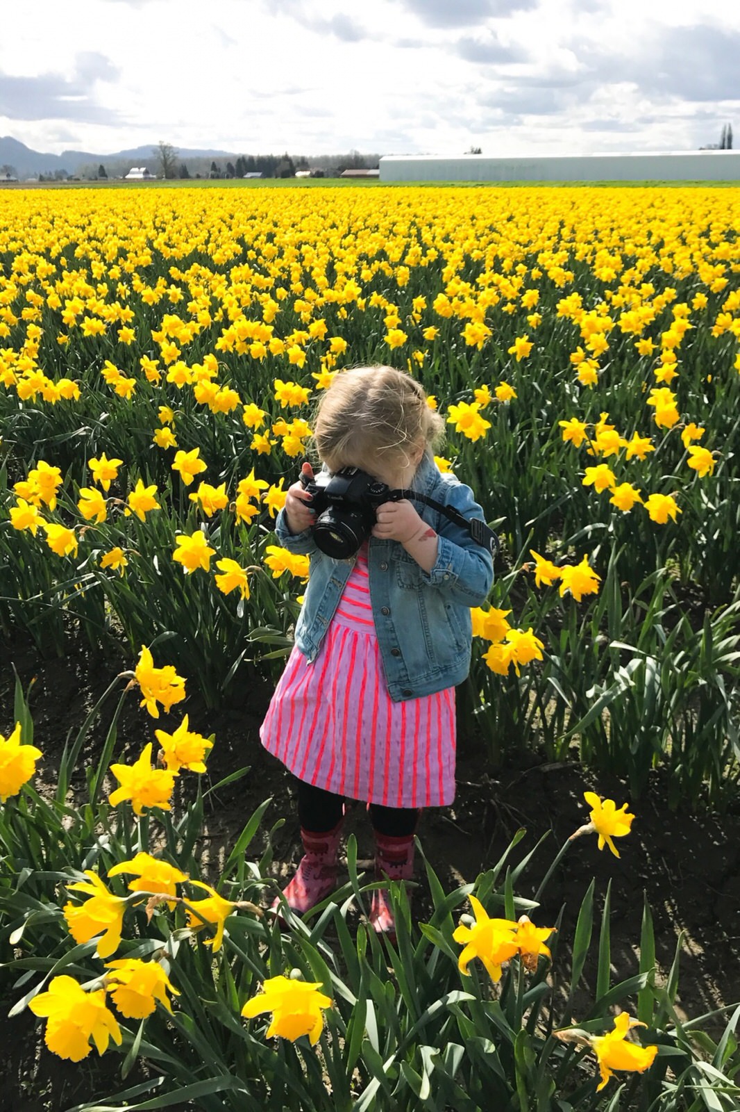 I Gave My 3 Year Old Daughter A DSLR And Here s What Happened Tech