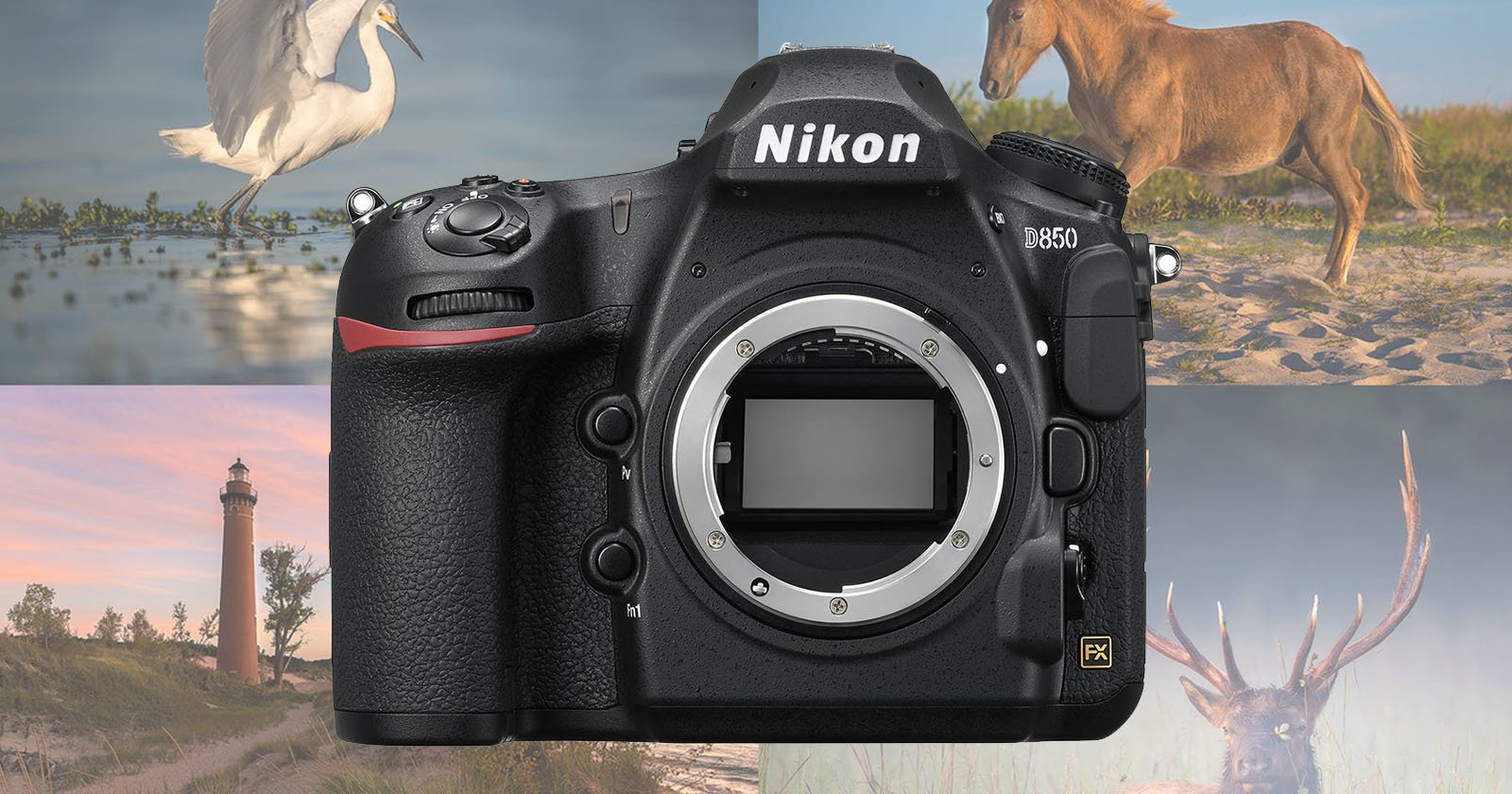 Nikon D850 Best DSLR Ever, Gets First Full 100 Score at DxOMark