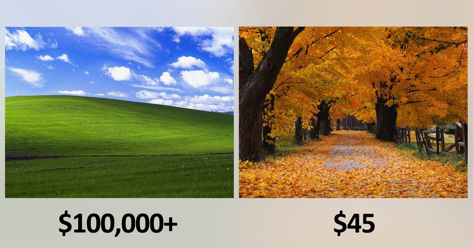 Microsoft Paid 'Bliss' Photog $100K+ and 'Autumn' Photog $45 | PetaPixel