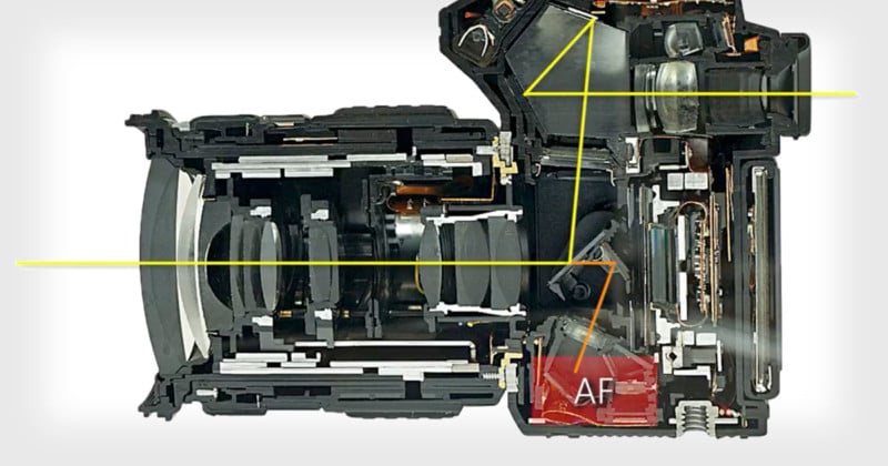 The Anatomy of Autofocus: How Cameras and Lenses Achieve Perfect Focus ...