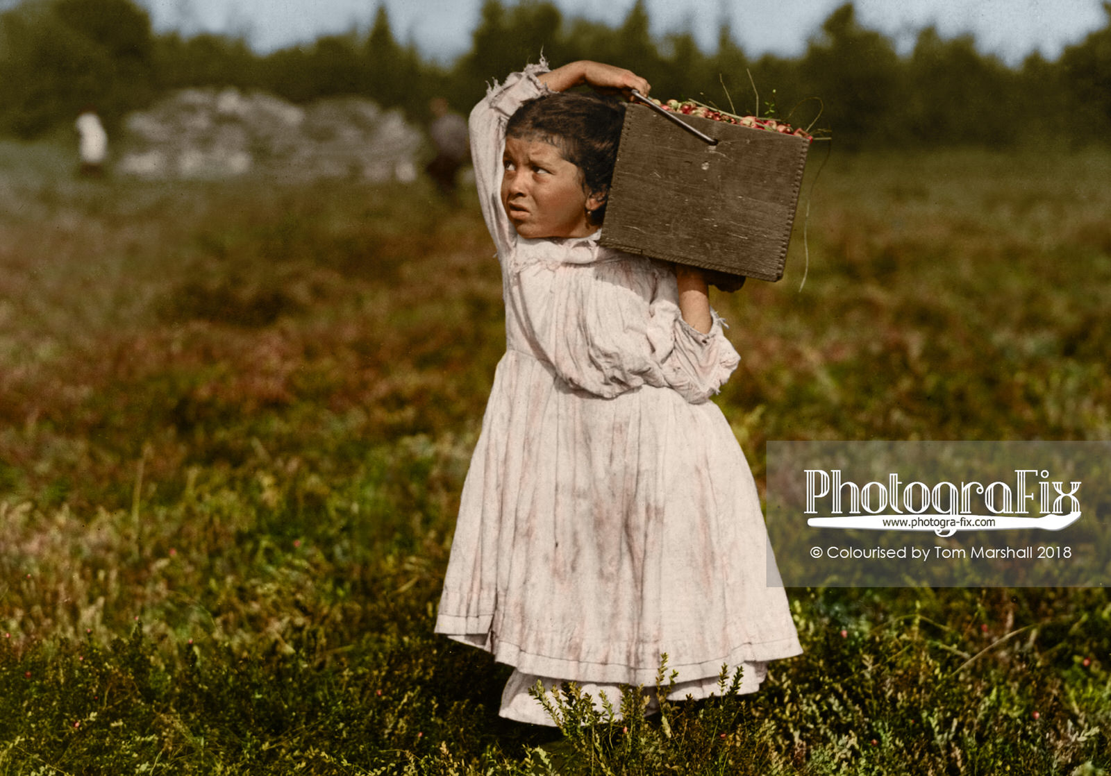 Начало труда. Льюис Хайн американский фотограф детский труд. Льюис Хайн американский фотограф. Детский труд. Дети 1910 Америка.