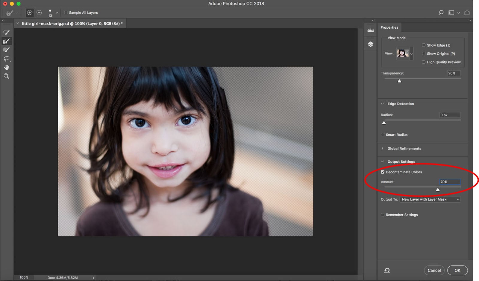 Select Subject is Here: Photoshop Now Has AI-Powered One-Click ...