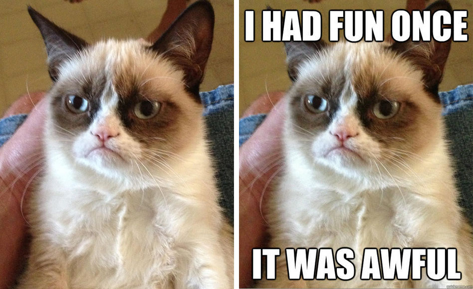 Grumpy Cat Wins $710,000 in Copyright Infringement Lawsuit | PetaPixel