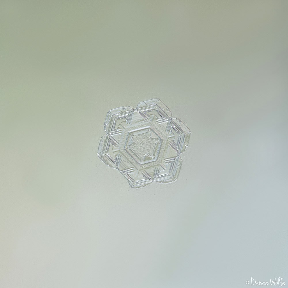 How to Shoot Macro Snowflake Photos at Home | PetaPixel