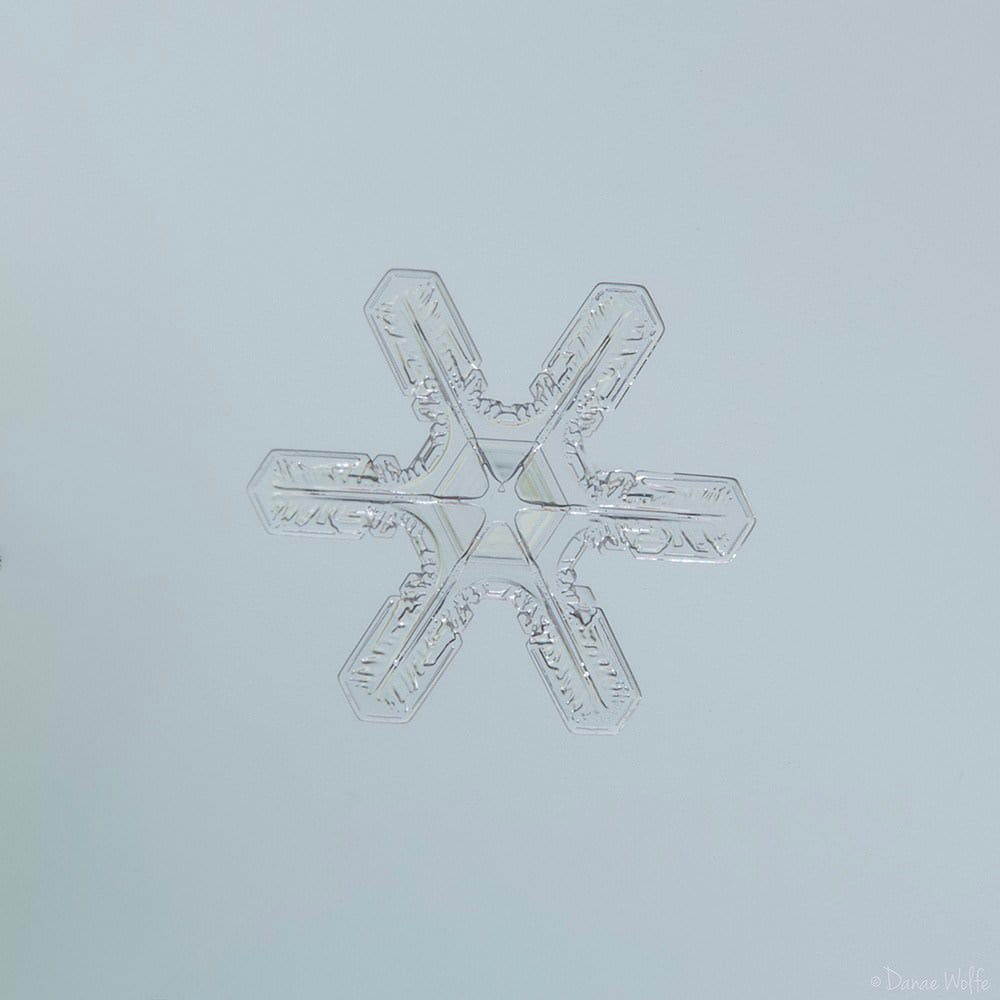 How to Shoot Macro Snowflake Photos at Home | PetaPixel