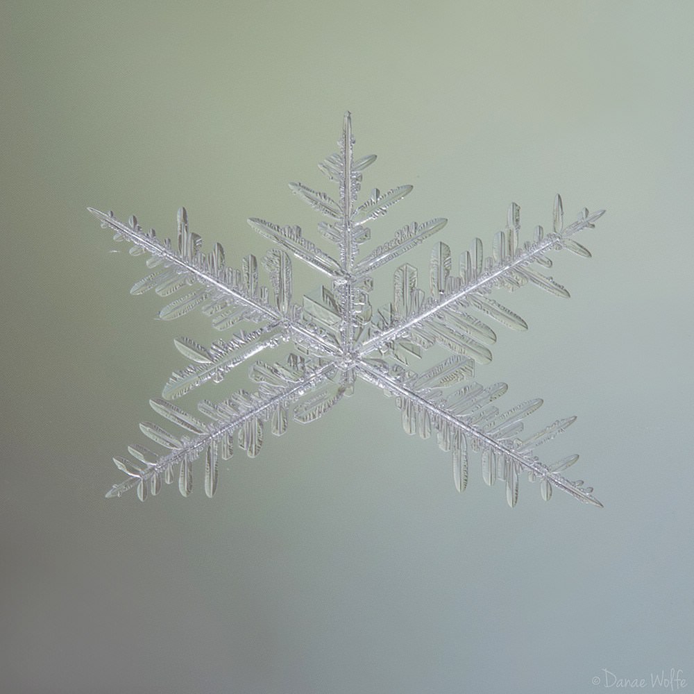 How to Shoot Macro Snowflake Photos at Home | PetaPixel