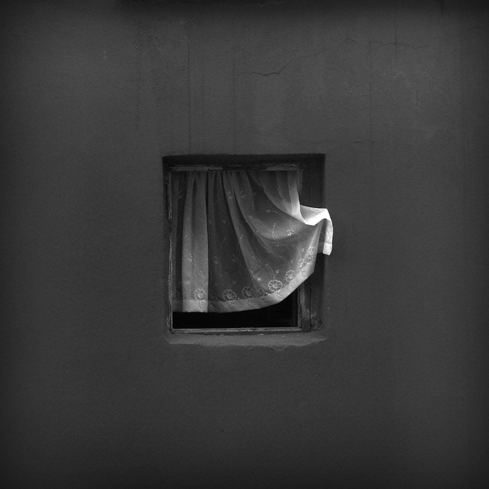 This Photographer Spent 12 Years Shooting the Same Window | PetaPixel