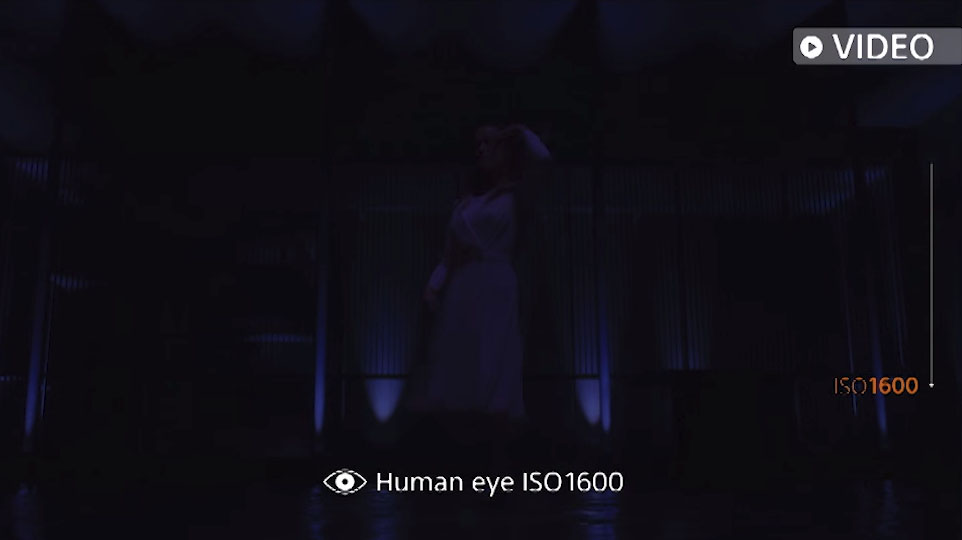 Sony Shows Off the First Smartphone Camera with ISO 51200 | PetaPixel