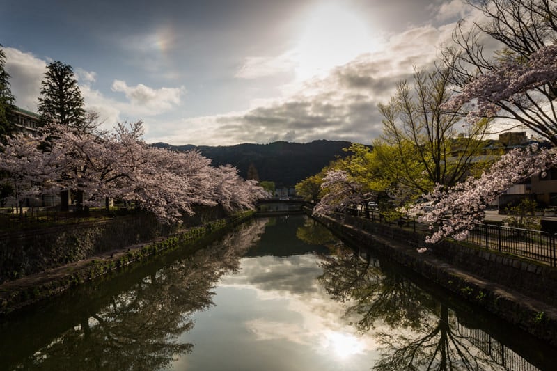 24 Best Tokyo Sakura Spots: Cherry Blossom Mega Guide