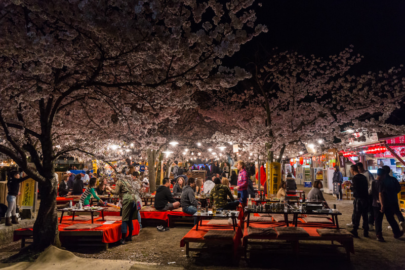 Where to Shoot Cherry Blossoms in Japan: A Practical Photo Guide