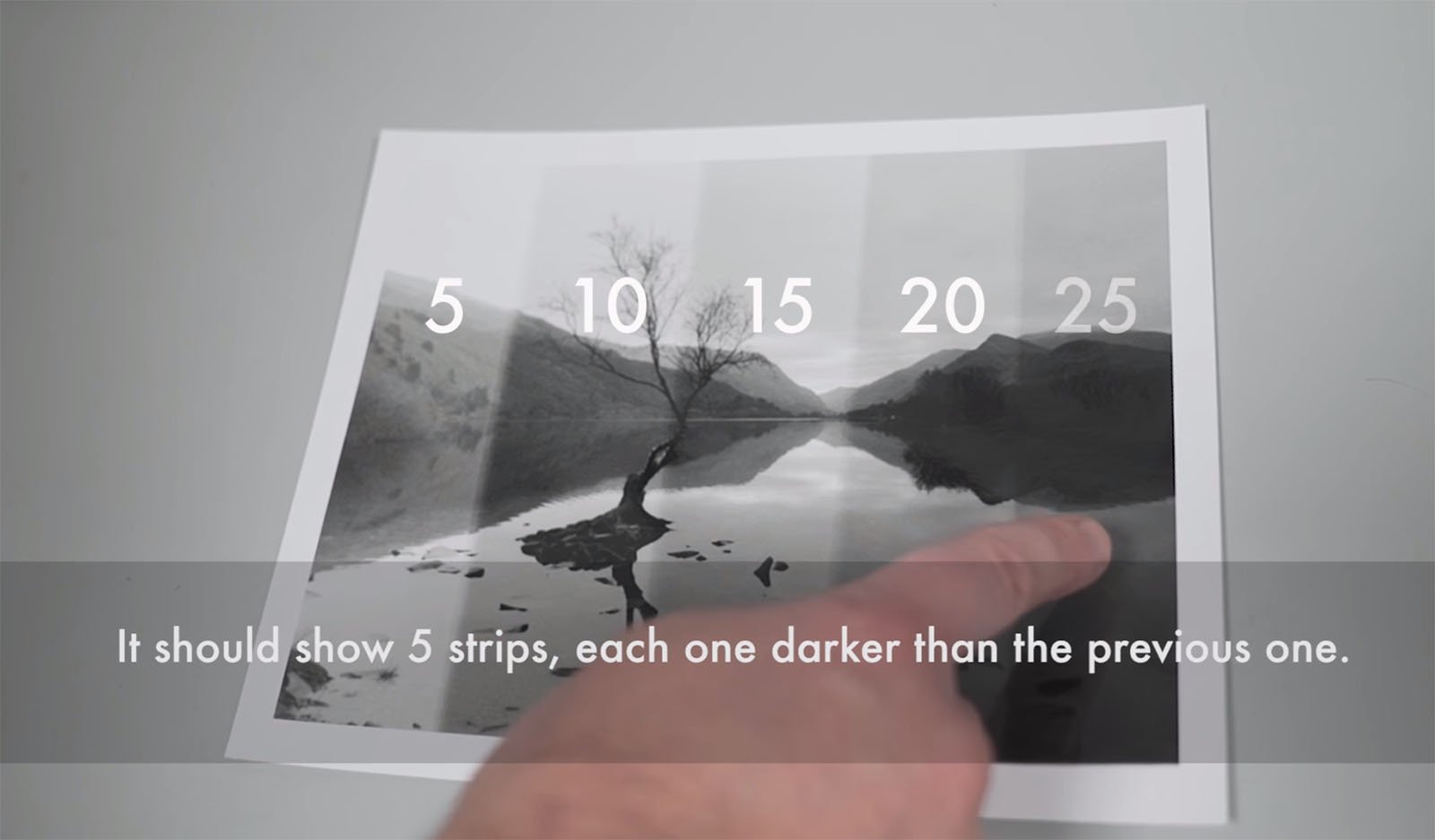 How To Make A B&W Photo Print In The Darkroom: A 7-Minute Crash Course ...