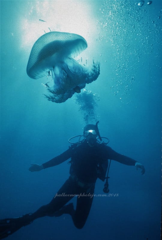 フィルム　エクタクローム　アンダーウォーター Kodak Ektachrome Will Go Underwater Again in 2018 | PetaPixel
