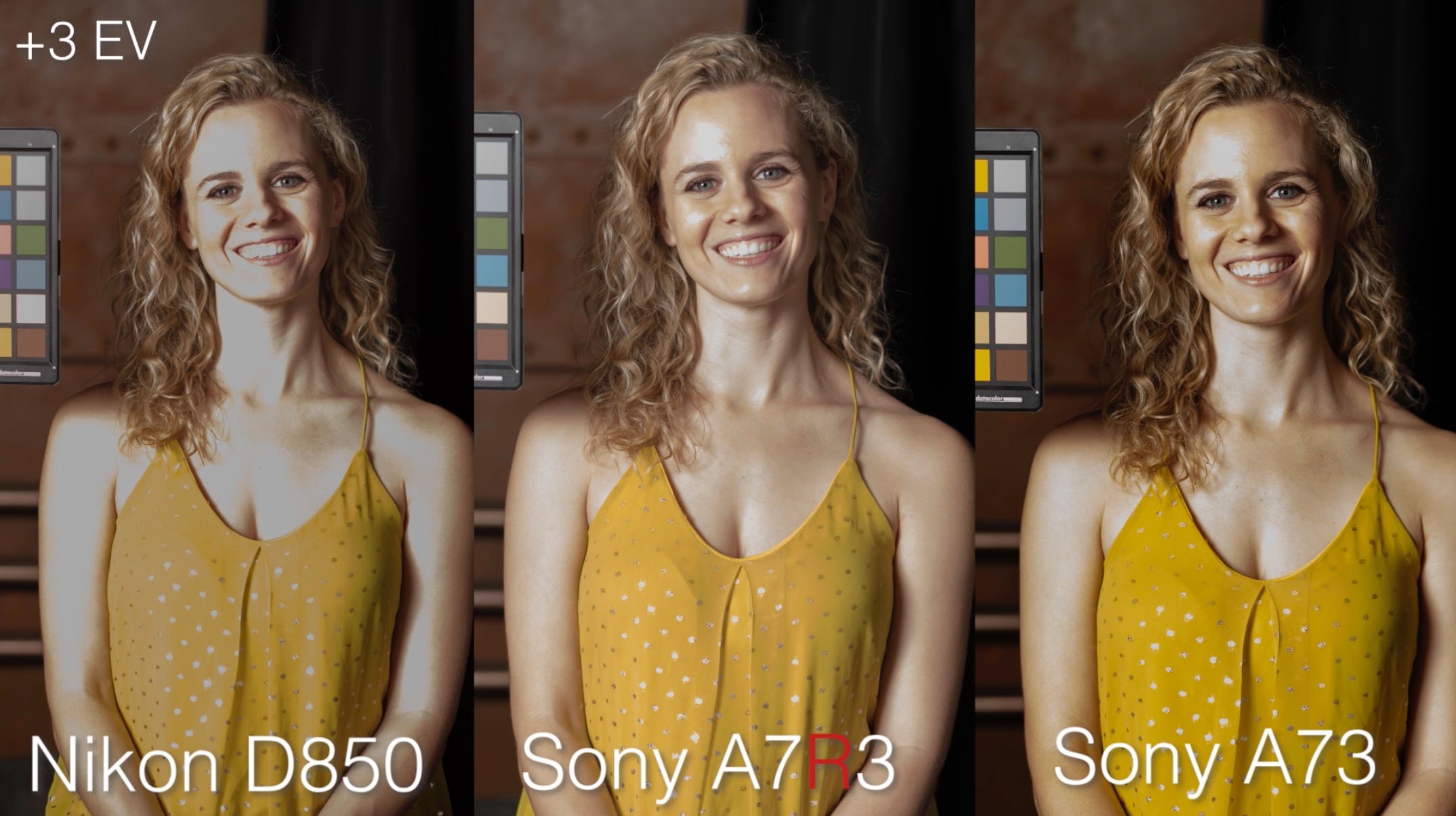 Galaxy sekvens Sightseeing Shootout: Sony a7R III vs Sony a7 III vs Nikon D850 | PetaPixel