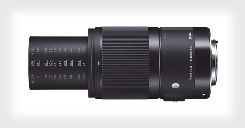 Review: The Sigma 70mm f/2.8 Art is a Macro Lens Worthy of Your ...