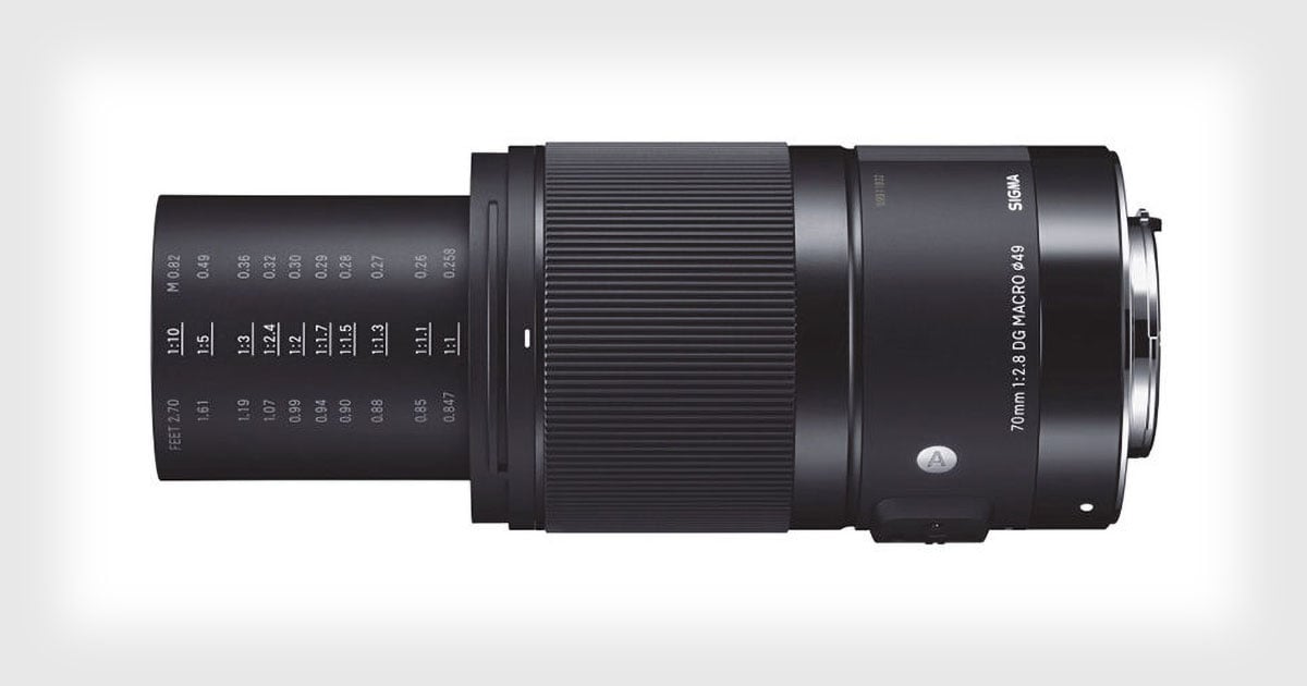 Review: The Sigma 70mm f/2.8 Art is a Macro Lens Worthy of Your 